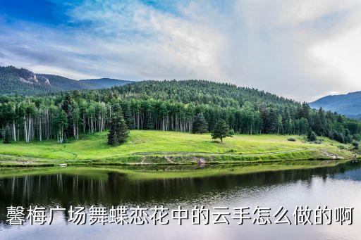 馨梅广场舞蝶恋花中的云手怎么做的啊