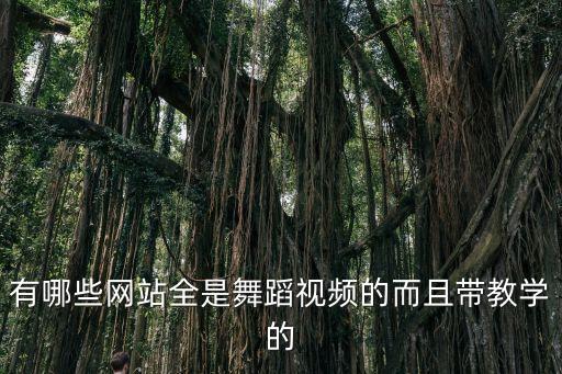 有哪些网站全是舞蹈视频的而且带教学的