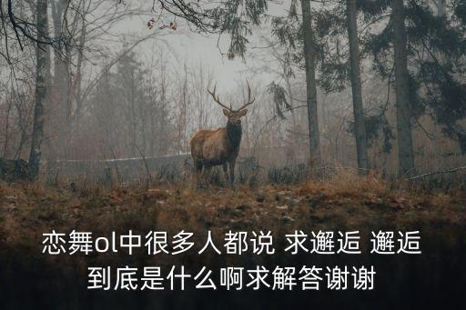 恋舞ol中很多人都说 求邂逅 邂逅到底是什么啊求解答谢谢