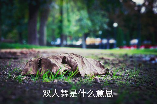 双人舞望乡是什么舞，双人舞是那种舞蹈
