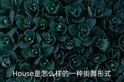 街舞里house是什么舞，House是怎么样的一种街舞形式