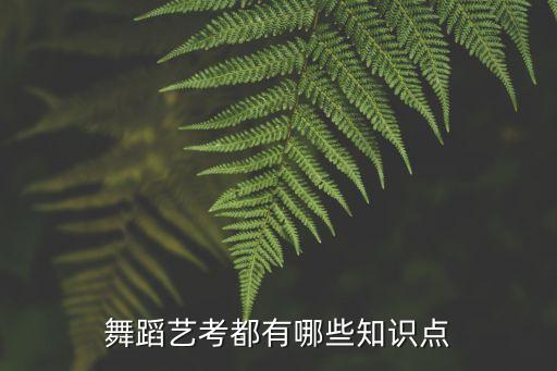 舞蹈艺考需掌握些什么，高考的舞蹈专业会考一些什么内容呢