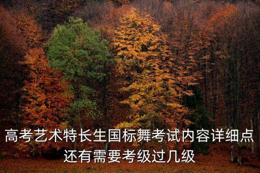 高考艺术特长生国标舞考试内容详细点还有需要考级过几级