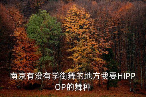 南京有没有学街舞的地方我要HIPPOP的舞种