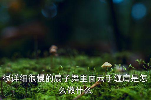 舞蹈的云手动作怎么做，馨梅广场舞蝶恋花中的云手怎么做的啊