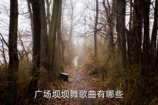 广场坝坝舞歌曲有哪些