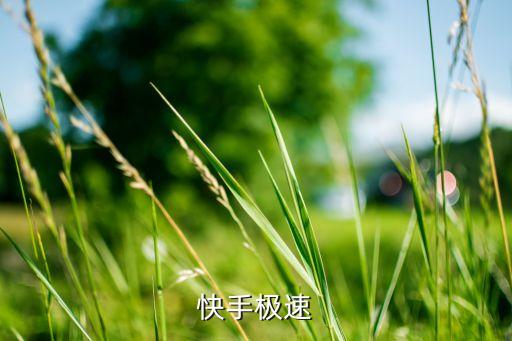 快手极速