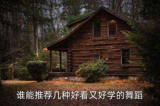 谁能推荐几种好看又好学的舞蹈