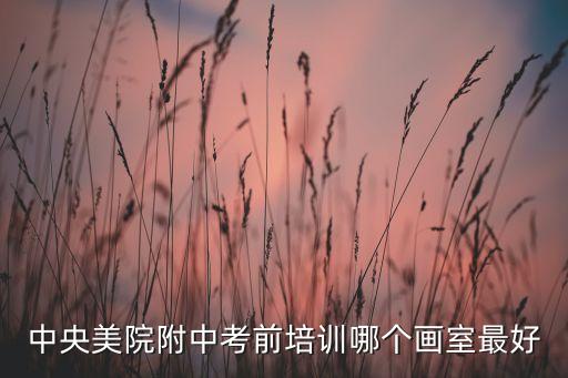 中央美院附中考前培训哪个画室最好