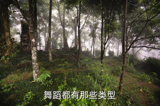 舞蹈形式是什么，舞蹈有哪些
