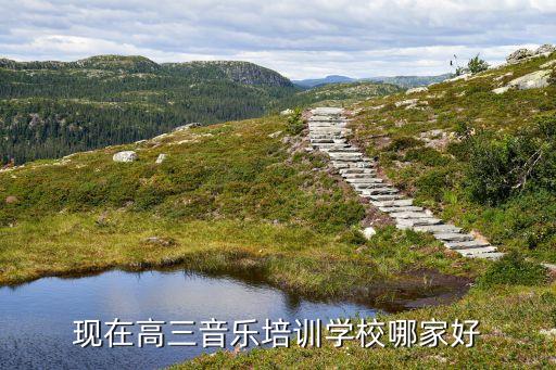 现在高三音乐培训学校哪家好