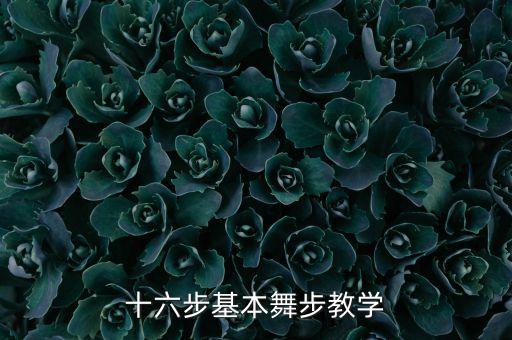 十六步基本舞步教学