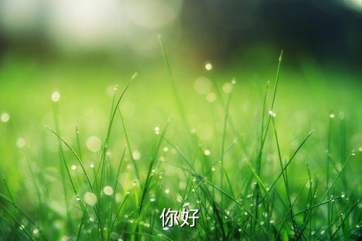 你好