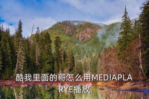 酷我里面的哥怎么用MEDIAPLARYE播放
