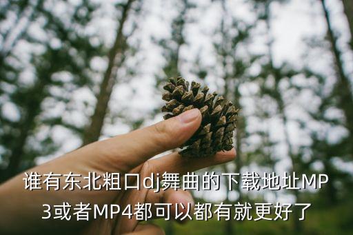 东北的什么舞蹈视频下载，求视频少儿舞蹈 六人东北秧歌