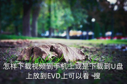 怎样下载视频到手机上或是下载到U盘上放到EVD上可以看  搜