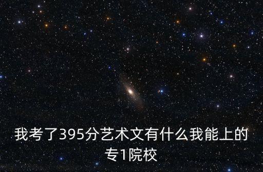 我考了395分艺术文有什么我能上的专1院校