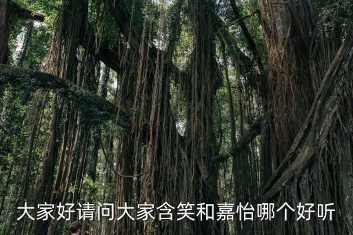 大家好请问大家含笑和嘉怡哪个好听