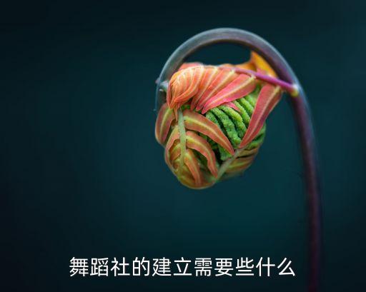 舞协会需要什么条件，加入省舞协要什么条件