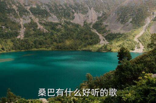 桑巴有什么好听的歌