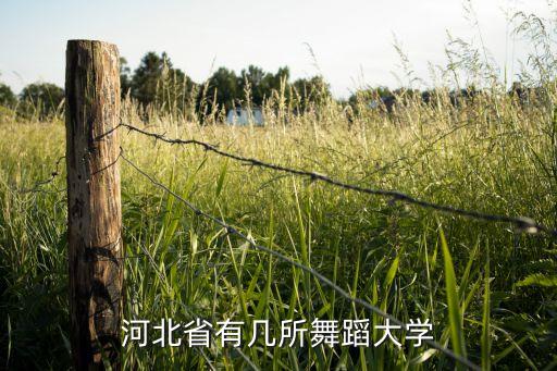 河北省有几所舞蹈大学