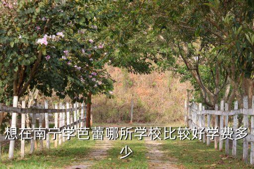 想在南宁学芭蕾哪所学校比较好学费多少