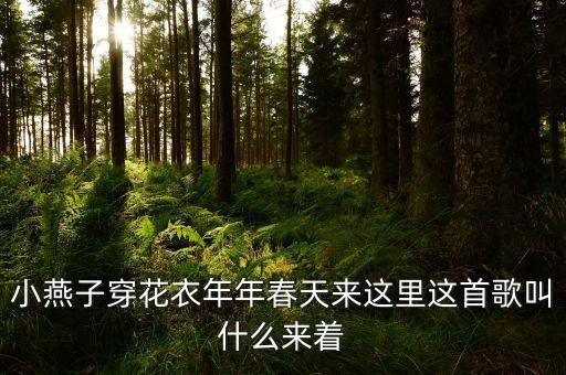 儿童歌谣03岁小燕子穿花衣，一首歌 小燕子穿花衣 年年春天来这里 燕子说这里的山路十八弯