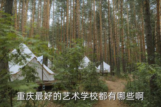 重庆最好的艺术学校都有哪些啊