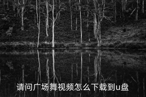 请问广场舞视频怎么下载到u盘