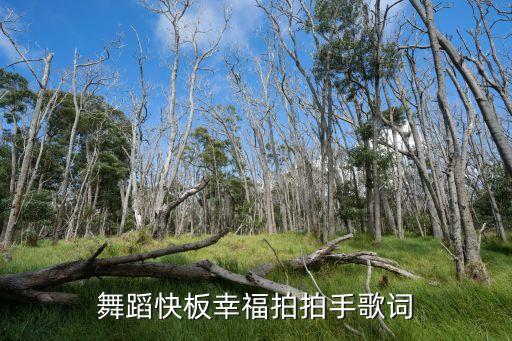 舞蹈快板幸福拍拍手歌词