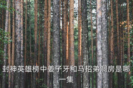 封神英雄榜中姜子牙和马招弟洞房是哪一集