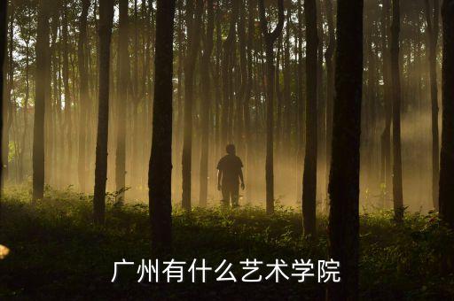 广州好的舞蹈大学有哪些，广州有一些什么音乐舞蹈学院