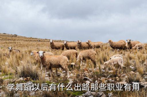 学舞蹈以后有什么出路那些职业有用