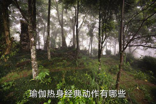 简单的瑜伽动作入门，零基础瑜伽适合哪些动作