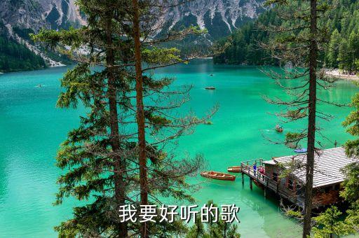 我要好听的歌