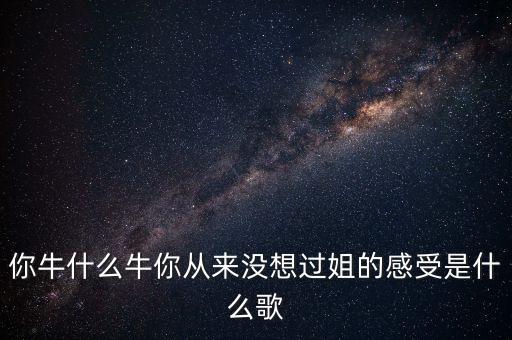 你牛什么牛你从来没想过姐的感受是什么歌