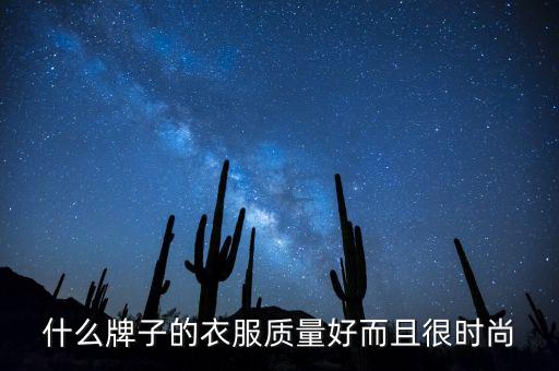 什么牌子的衣服质量好而且很时尚