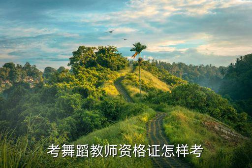 幼师舞蹈证考什么，关于幼师资格证