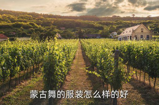 跳蒙古舞穿什么衣服好，跳桑巴穿什么衣服
