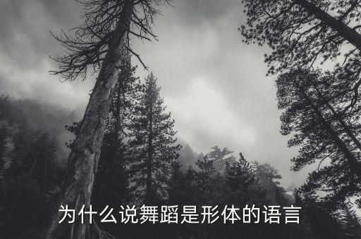 舞蹈语言与动作是什么关系，什么是舞蹈
