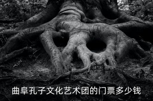舞剧孔子门票多少钱，现在孔子的票价要多少
