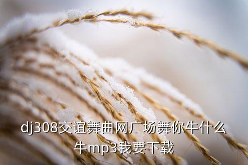 dj308交谊舞曲网广场舞你牛什么牛mp3我要下载