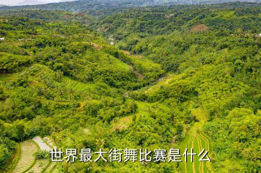 世界最大街舞比赛是什么