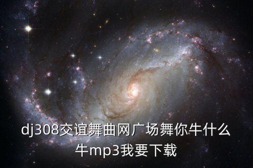 dj308交谊舞曲网广场舞你牛什么牛mp3我要下载