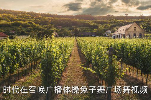 广场舞小兔子舞蹈视频，时代在召唤广播体操兔子舞广场舞视频