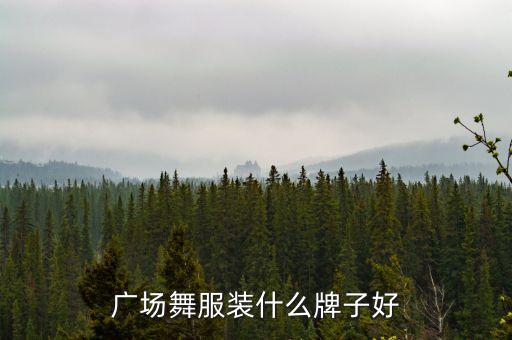 广场上真什么牌子好，什么牌子的衣服质量好而且很时尚