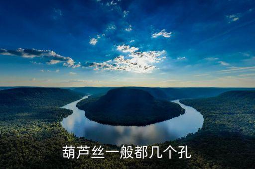 葫芦丝一般都几个孔