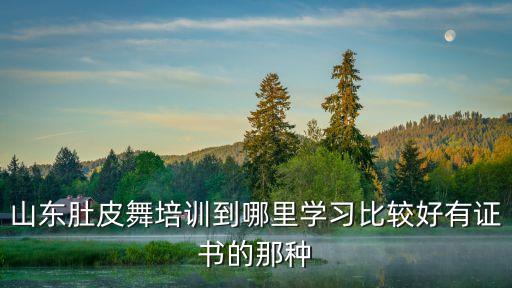 山东肚皮舞培训到哪里学习比较好有证书的那种