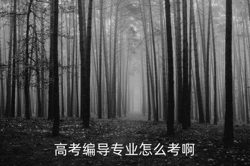 高考编导专业怎么考啊