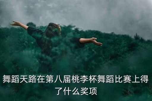 舞蹈天路在第八届桃李杯舞蹈比赛上得了什么奖项